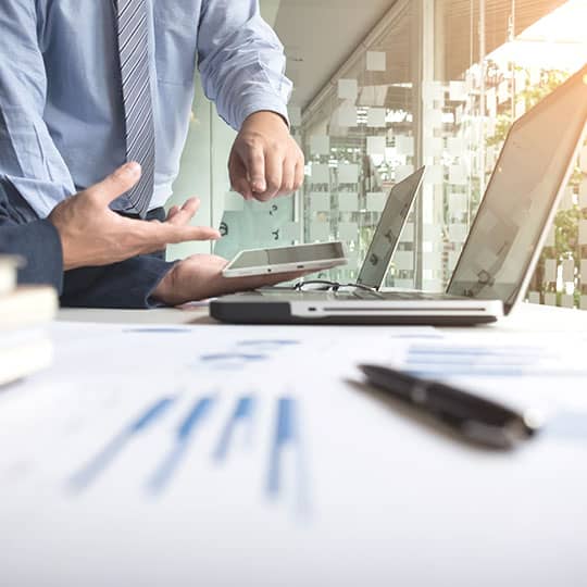 Mid-Sized IT Consulting