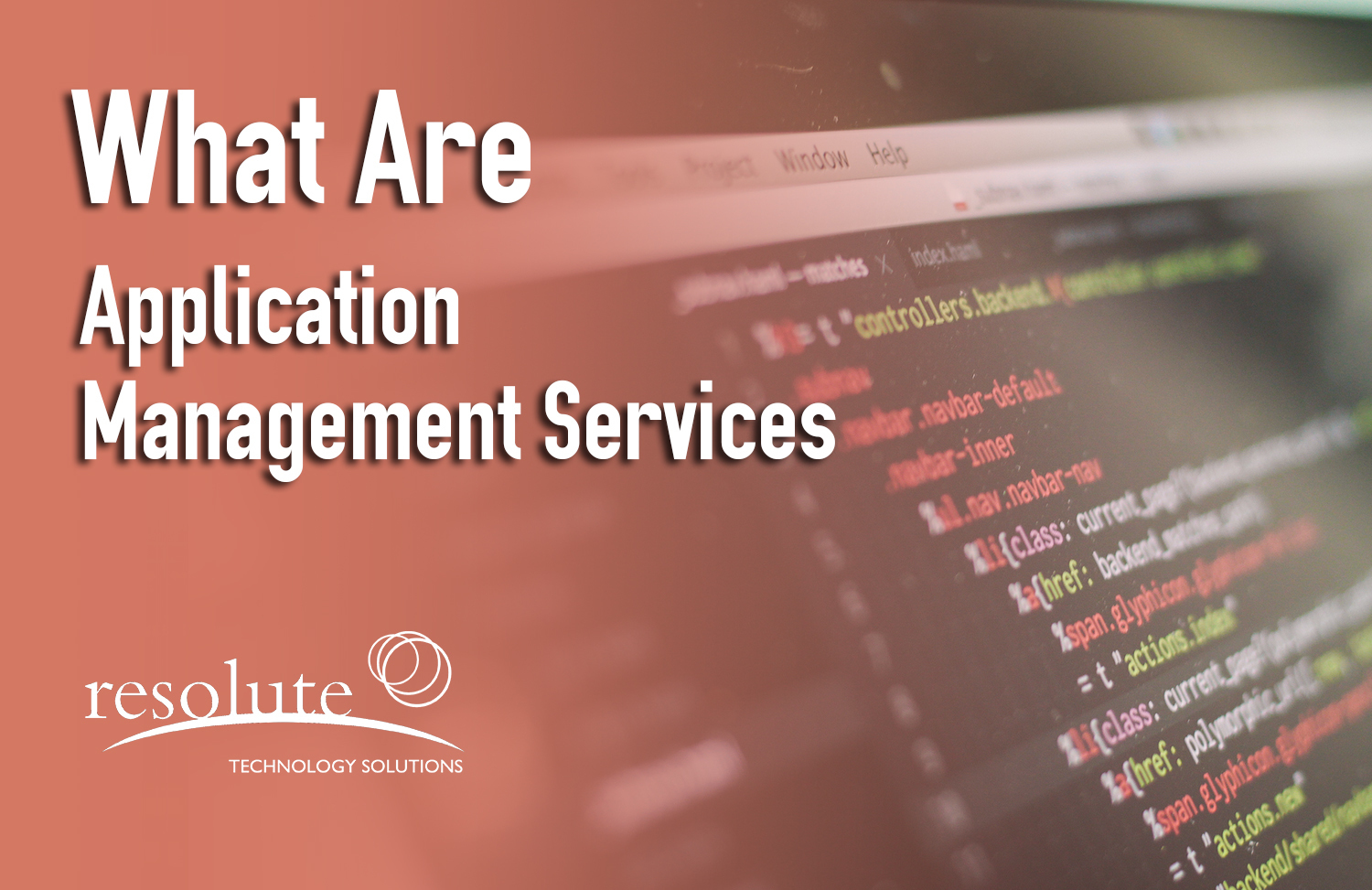 Read more about the article Application Management Services (AMS)