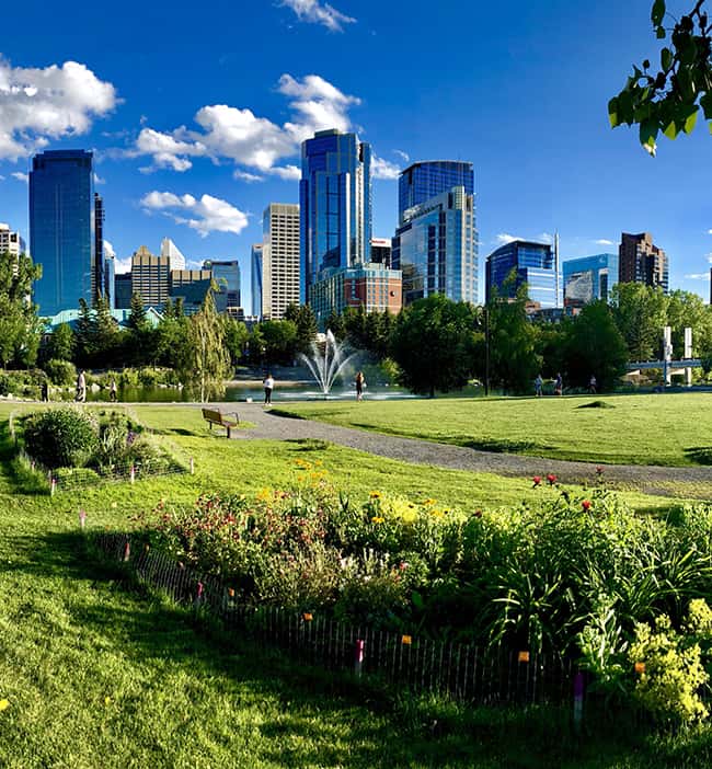 cyber security companies calgary